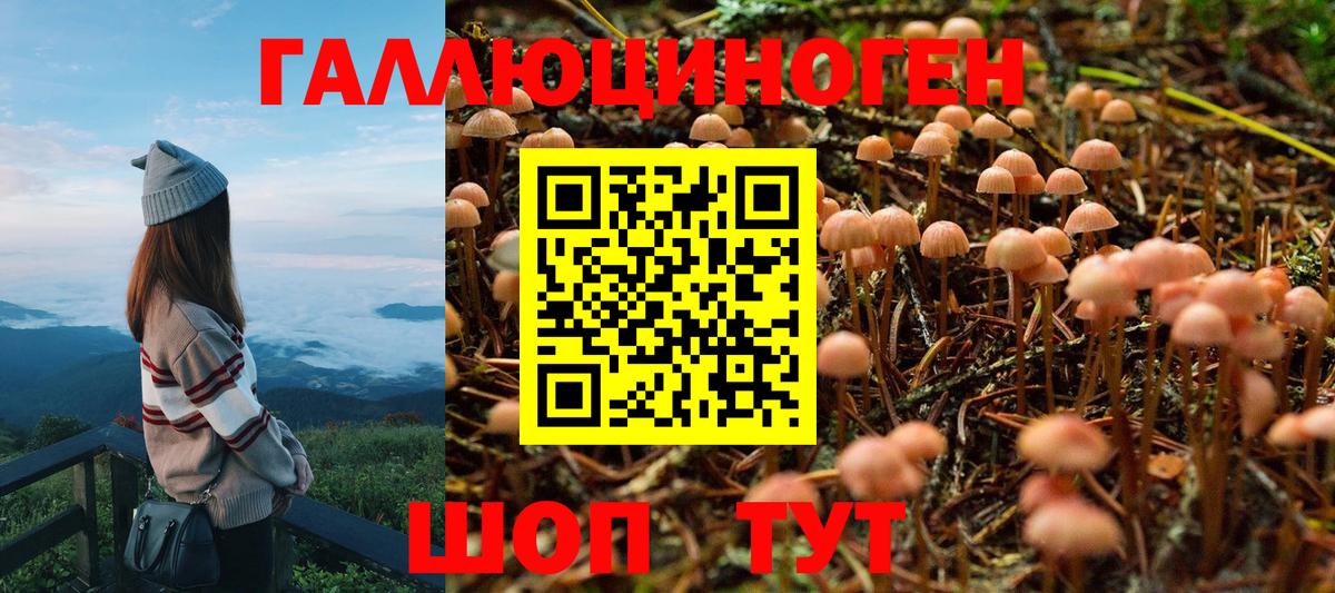 Ликино-Дулёво  Псилоцибиновые грибы ЛСД  Вход с VPN 