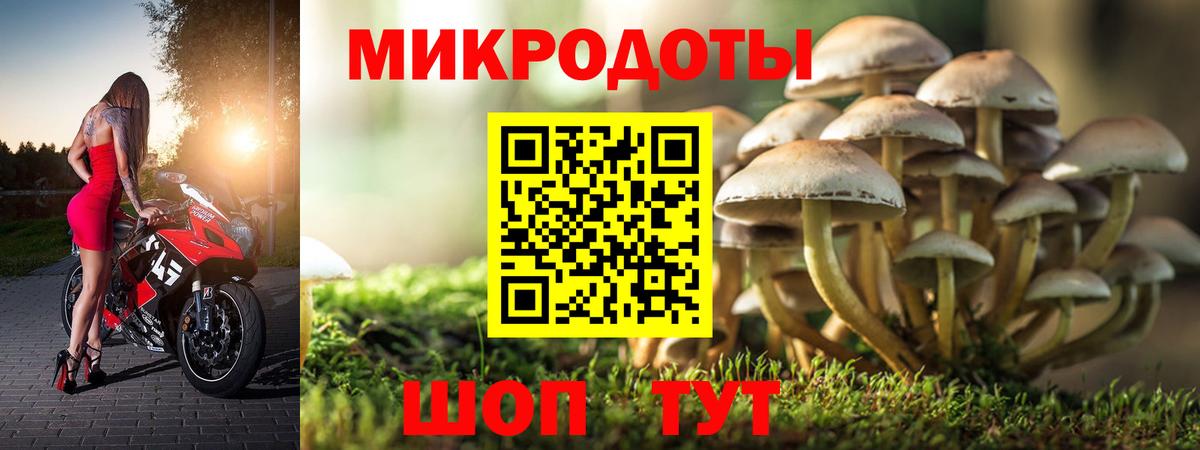 Галлюциногенные грибы мухоморы Ликино-Дулёво